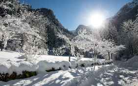  - Foto: Helmuth Rier